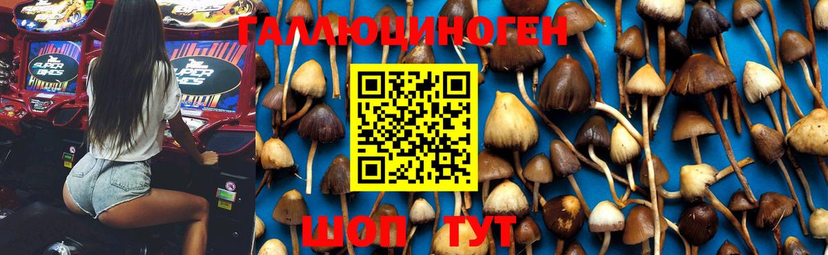 Кыштым  Псилоцибиновые грибы Psilocybine cubensis  Галлюциногенные грибы MAGIC MUSHROOMS  Вход с VPN 